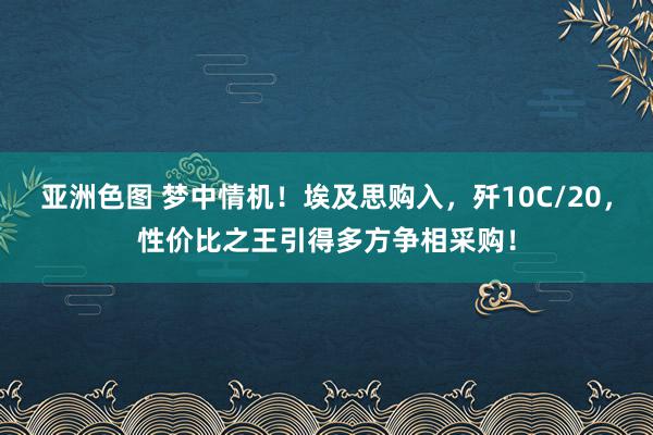 亚洲色图 梦中情机！埃及思购入，歼10C/20，性价比之王引得多方争相采购！