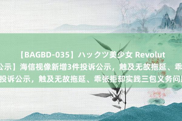 【BAGBD-035】ハックツ美少女 Revolution Rino 【12315投诉公示】海信视像新增3件投诉公示，触及无故拖延、乖张拒却实践三包义务问题等