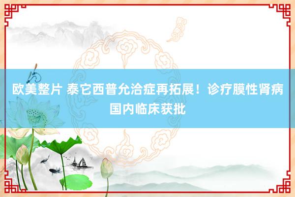 欧美整片 泰它西普允洽症再拓展！诊疗膜性肾病国内临床获批