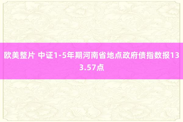 欧美整片 中证1-5年期河南省地点政府债指数报133.57点