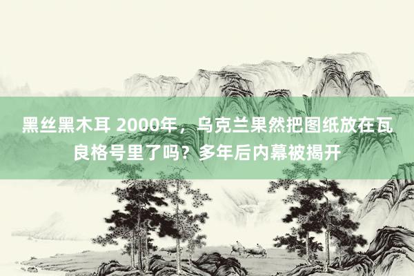 黑丝黑木耳 2000年，乌克兰果然把图纸放在瓦良格号里了吗？多年后内幕被揭开