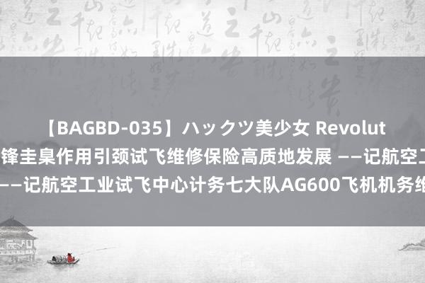 【BAGBD-035】ハックツ美少女 Revolution Rino 推崇机务党员前锋圭臬作用引颈试飞维修保险高质地发展 ——记航空工业试飞中心计务七大队AG600飞机机务维修保险党员前锋队