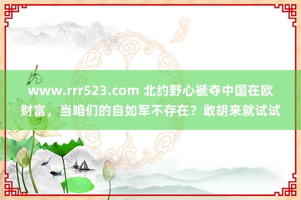 www.rrr523.com 北约野心褫夺中国在欧财富，当咱们的自如军不存在？敢胡来就试试