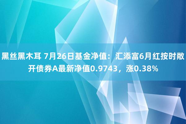 黑丝黑木耳 7月26日基金净值：汇添富6月红按时敞开债券A最新净值0.9743，涨0.38%