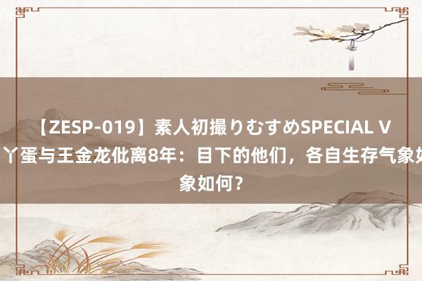 【ZESP-019】素人初撮りむすめSPECIAL Vol.3 丫蛋与王金龙仳离8年：目下的他们，各自生存气象如何？