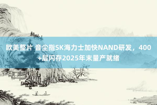 欧美整片 音尘指SK海力士加快NAND研发，400+层闪存2025年末量产就绪