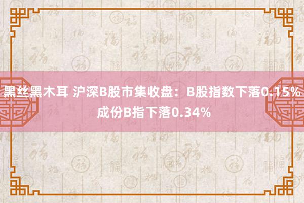 黑丝黑木耳 沪深B股市集收盘：B股指数下落0.15% 成份B指下落0.34%