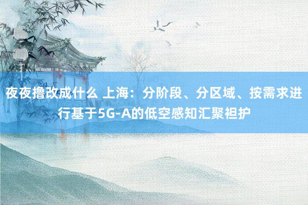 夜夜撸改成什么 上海：分阶段、分区域、按需求进行基于5G-A的低空感知汇聚袒护