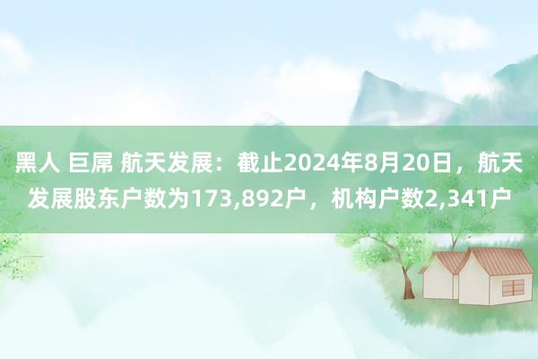 黑人 巨屌 航天发展：截止2024年8月20日，航天发展股东户数为173,892户，机构户数2,341户