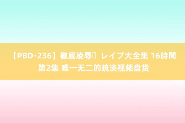 【PBD-236】徹底凌辱・レイプ大全集 16時間 第2集 唯一无二的疏淡视频盘货