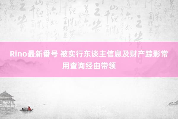 Rino最新番号 被实行东谈主信息及财产踪影常用查询经由带领